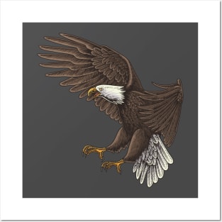 American Bald Eagle Posters and Art